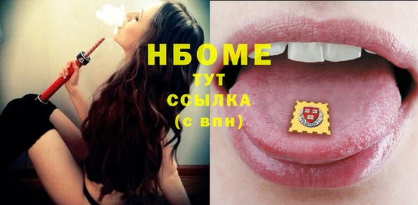 индика Елизово