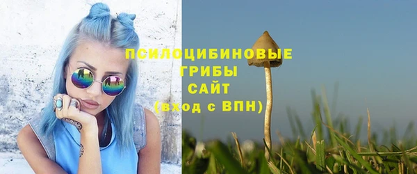 стафф Елабуга