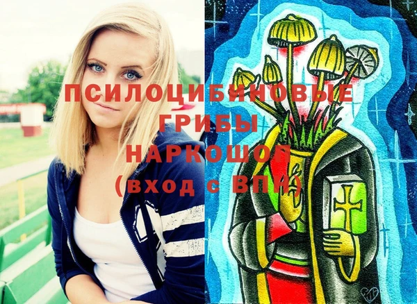 эйфоретик Тотьма