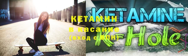 стаф Каменка