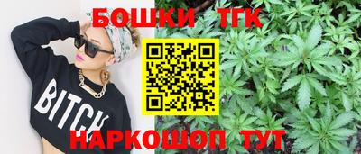 скорость Дубна