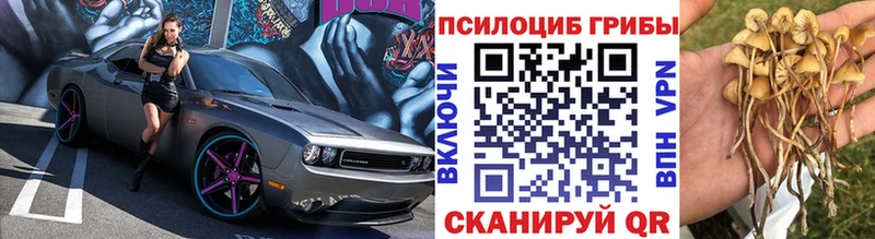 mega tor  купить наркотик  Лыткарино  Галлюциногенные грибы Magic Shrooms 