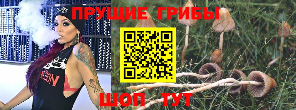 Лыткарино  Псилоцибиновые грибы Psilocybe  Галлюциногенные грибы MAGIC MUSHROOMS  Вход с VPN 